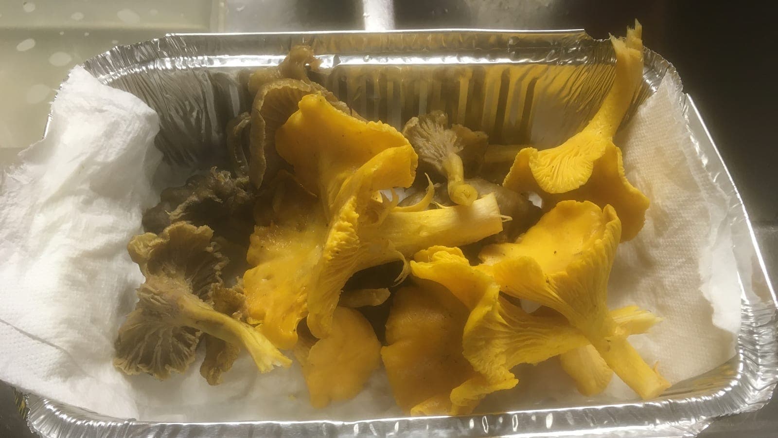 Girolles jaune d'œuf (Cantharellus cibarius) à plis décurrents et chanterelles en tube gris-brun à pied jaune (Craterellus tubaeformis) côte à côte dans une barquette